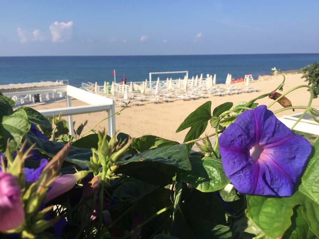 Magia Del Salento Hotel Torre San Giovanni Ugento Luaran gambar
